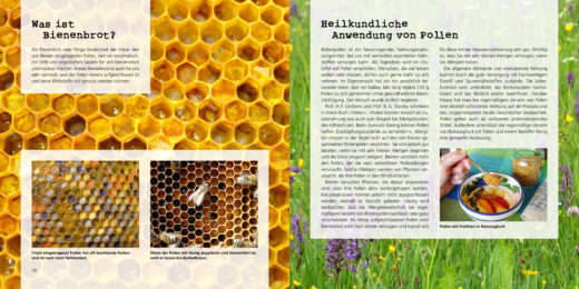 Die Heilkraft der Bienen - Gesund mit Apitherapie